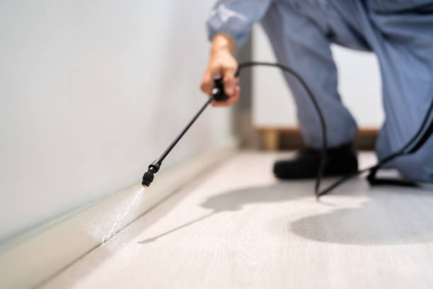 Licensed Cockroach Control service in Center Point, TX - Nex Pest Control