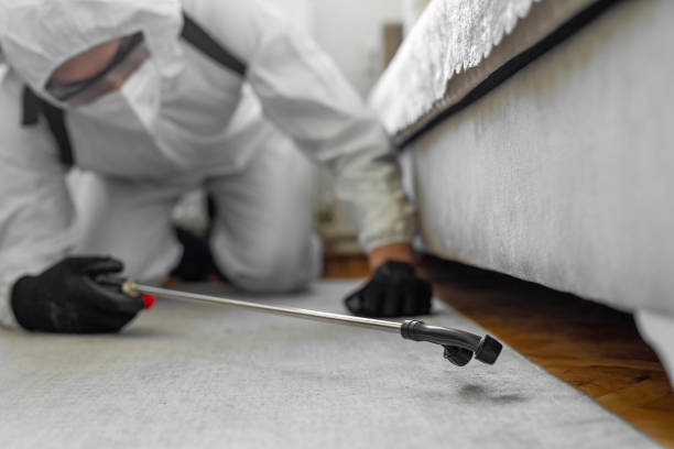 Professional Cockroach Control technician working in Center Point, TX