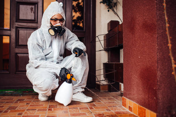Reliable Cockroach Control contractor in Center Point, TX by Nex Pest Control