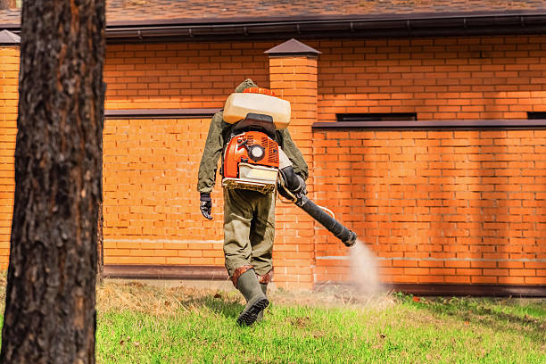 Top rated local Cockroach Control specialists in Center Point, TX